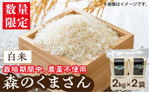 菊鹿の米 ヒノヒカリ 白米 5kg×2袋【有限会社 あそしな米穀】 [ZBI005