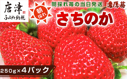 『先行予約』【令和7年3月より順次発送】濃厚苺 さちのか 250g×4パック(合計1kg) 濃厚いちご 苺 イチゴ 果物 フルーツ ビタミン
