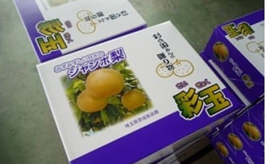 期間限定 騎西の梨「彩玉」