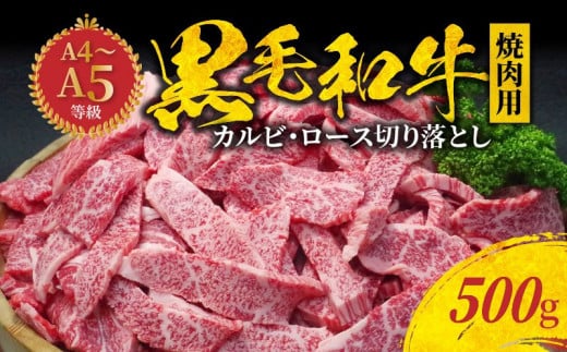 S001-026_【順次発送】黒毛和牛 焼肉 カルビ ロース 切り落とし 500g A4 ～ A5 325895 - 熊本県天草市