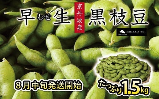 早生の黒枝豆で京都・丹波の秋の味覚を先どり！まだまだ暑くて、ビールがすすむ８月中旬から順次お届けできる黒枝豆です。