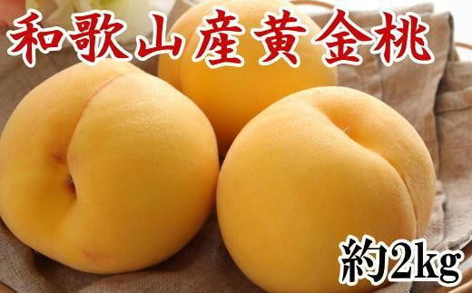 人気 和歌山県産 黄金桃（つきあかり） 約
