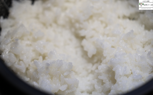 コシヒカリ玄米15キロ