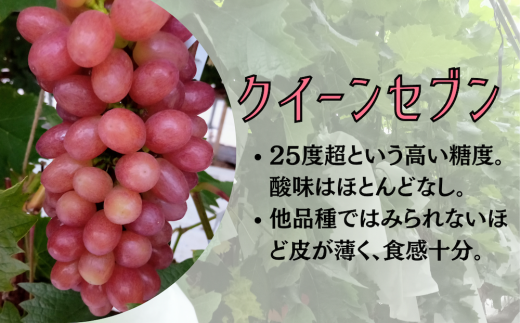 ぶどう クイーンセブン 1kg 3房～4房 - 果物