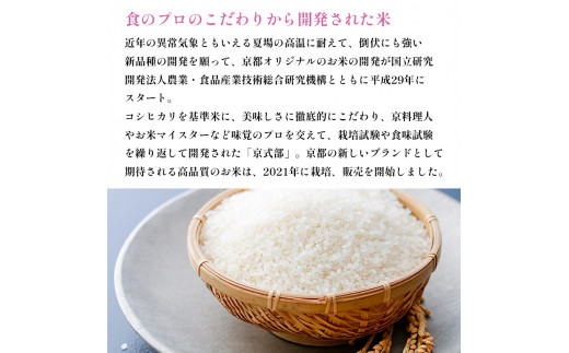 令和6年度産 新米 先行予約 】 京都 白米 京式部 5キロ 5kg ご飯 お米
