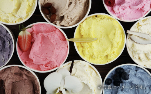 ハンドメイド アイスクリーム 食べ比べ 6個セット