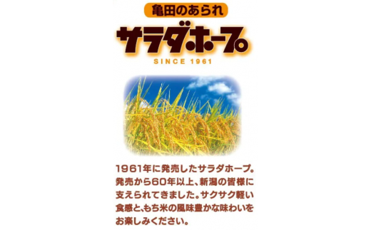 亀田製菓 サラダホープ 90g×12袋 米菓 2A02009