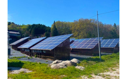 ソーラーシェアリング（ソーラーパネルのハウスを設置し、農業と発電で分け合う取り組み）のハウスで栽培をしています