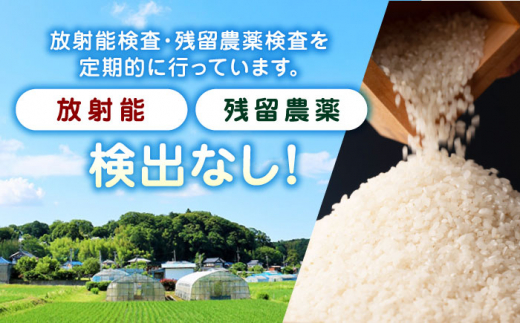 【全3回定期便】森のくまさん 無洗米 15kg（5kg×3袋）【有限会社 農産ベストパートナー】定期便 15kg 無洗米 精米 森のくまさん 特産品  コメ 米 お米 熊本県 熊本県産 [ZBP061]