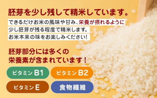 【全3回定期便】森のくまさん 無洗米 15kg（5kg×3袋）【有限会社 農産ベストパートナー】定期便 15kg 無洗米 精米 森のくまさん 特産品  コメ 米 お米 熊本県 熊本県産 [ZBP061]