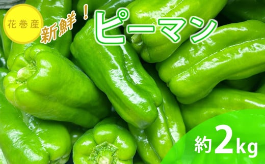 新鮮野菜 ピーマン 約2kg 　【1637】 961418 - 岩手県花巻市