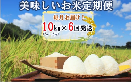 毎月お届け!JAの美味しいお米毎月定期便/10kg（5kg+5kg）×計6回発送_2156R