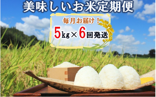 毎月お届け!JAの美味しいお米毎月定期便/5kg×計6回発送_2157R