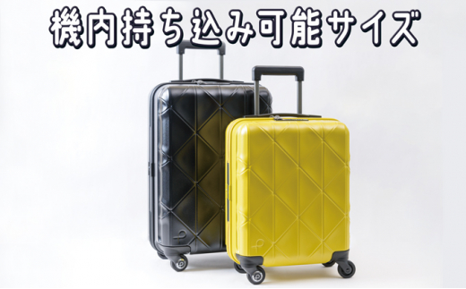 PROTeCA KOHRY ［ブラック］エースラゲージ スーツケース [NO.02271
