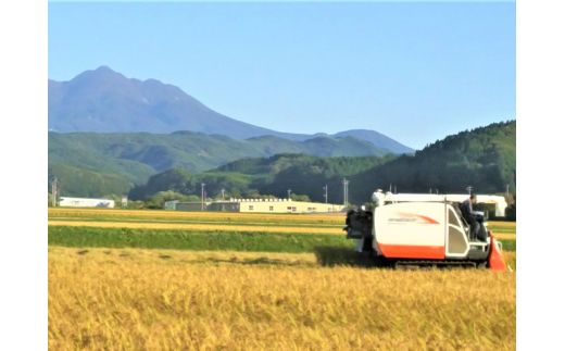 青森県鰺ヶ沢町産【山下農園】令和5年産 はれわたり 白米 15kg（15kg×1