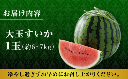 【先行予約】【数量限定】大玉 すいか Lサイズ【株式会社 前田ファーム】 [ZCM001] すいか ギフト 旬 デザート お取り寄せ