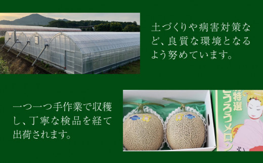 【先行予約】【数量限定】クリスマスメロン セット 【株式会社 前田ファーム】 [ZCM004] すいか ギフト 旬 デザート お取り寄せ