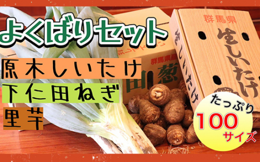 群馬県安中市のふるさと納税［（群馬県 安中市）］返礼品一覧（1ページ