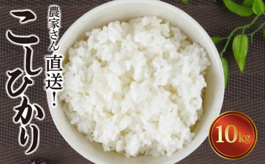 令和5年  香川県産 コシヒカリ  玄米20キロ