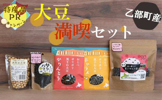 ＜乙部の大豆満喫セット＞町自慢の大豆詰め合わせ 921450 - 北海道乙部町