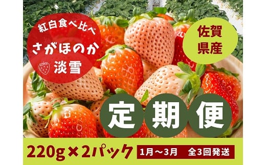 定期便3回】佐賀県産 紅白いちご食べ比べ 1~3月発送：B042-009 - 佐賀