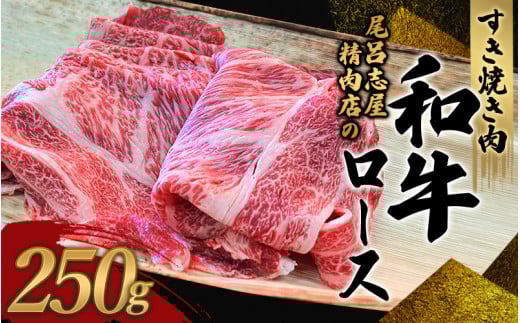 尾呂志屋精肉店の和牛ロース すき焼き用 250g 【1か月以内に順次発送】 / 和牛 すきやき すき焼き 牛肉 牛 精肉 【ors008A】 2207217 - 和歌山県新宮市