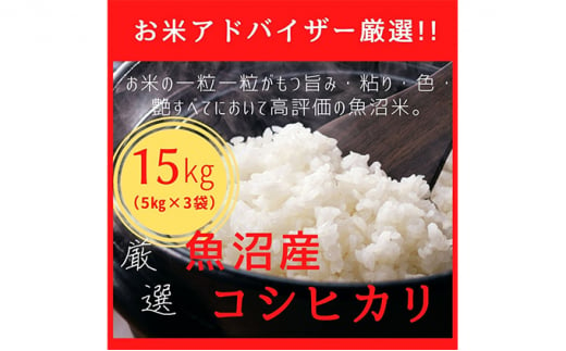 ふるさと納税 [令和4年産]魚沼産コシヒカリ(精米)15kg(5kg×3) 新潟県