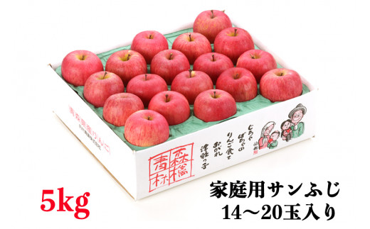 家庭用りんご サンふじ 5kg (14～20玉入り 5kg 1箱)～見た目にわけあり