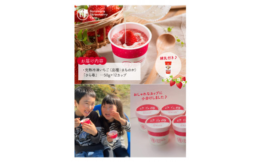 74-33　園村苺園　熊本県宇土産 完熟冷凍いちご「さら苺」12カップ　練乳付き|