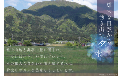 AD025 ☆令和5年産☆【6回定期便】特別栽培米 ひとめぼれ5kg 岩手県