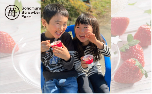 74-36 園村苺園 宇土産 完熟冷凍いちご「ぷち苺」と「さら苺」各6