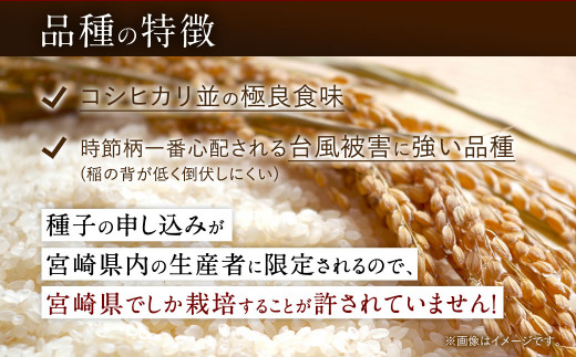 新米】＜令和5年産 宮崎県産夏の笑み（無洗米）25kg 5kg×5袋＞ ※入金