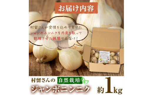 期間限定・数量限定】村留さんの自然栽培ジャンボニンニク 約1kg(外皮