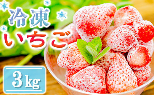 Y21-4 【数量限定】農家直送 南関町産 冷凍いちご 3ｋｇ - 熊本県南関