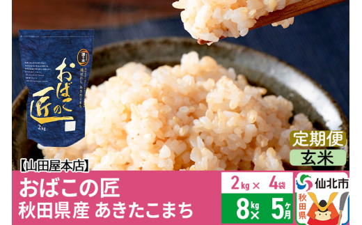 玄米】《定期便5ヶ月》令和5年産 新米 仙北市産 おばこの匠 8kg×5回 計