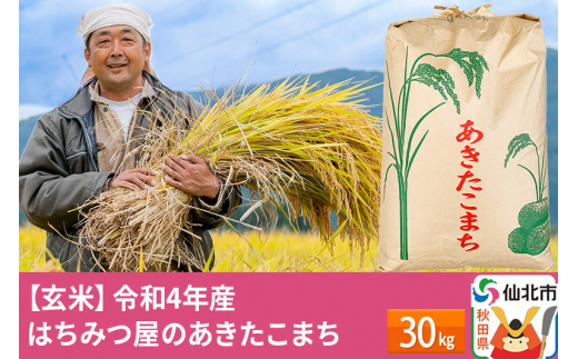 玄米】秋田県産 あきたこまち 30kg 令和4年産 30キロ お米 仙北市