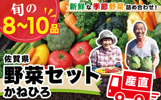 肥前の国のお野菜詰め合わせセット(8〜10品目)