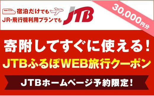 【静岡県】JTBふるぽWEB旅行クーポン（30,000円分）