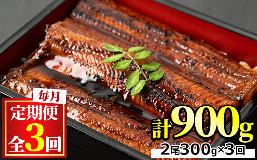 定期便３回】国産！特上うなぎのかば焼き 約250g × 2尾 × 3回お届け