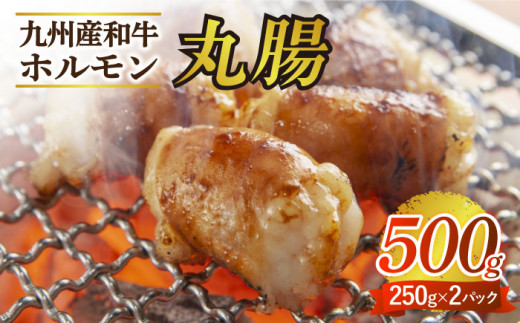 【塩だれ味】 九州産和牛 ホルモン 丸腸 500g（250g×2パック）《長与町》【岩永ホルモン】 [EAX116] 牛 和牛 焼き肉 焼肉 BBQ マルチョウ 贅沢  556297 - 長崎県長与町