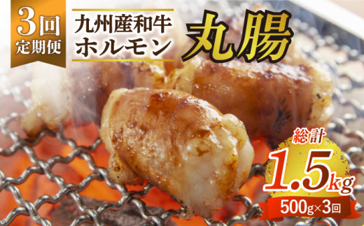 全3回定期便】【塩だれ味】 九州産和牛 ホルモン 丸腸 500g（250g×2