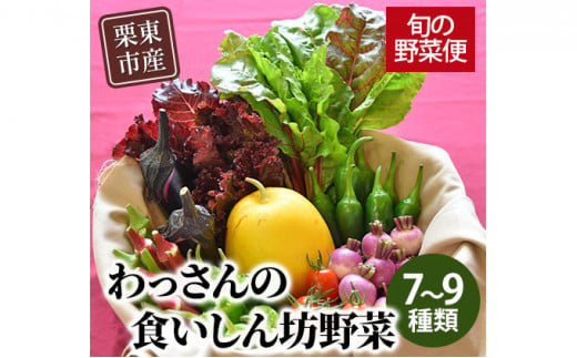 和らぎ農法　わっさんの食いしん坊野菜　栗東市産　旬の野菜便 749360 - 滋賀県栗東市