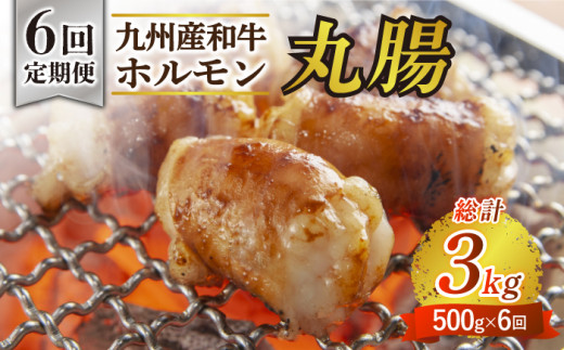 全6回定期便】【塩だれ味】 九州産和牛 ホルモン 丸腸 500g（250g×2