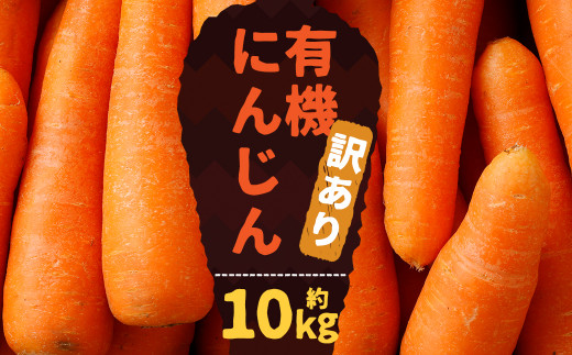 有機にんじん (10kg) 訳あり 人参 野菜
