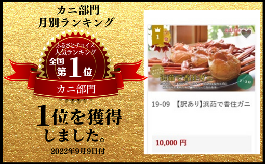 訳あり 香住ガニ 浜茹で 2～3杯 約900g以上 1～2本指落ち 冷蔵】ご自宅