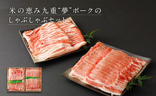 【3ヶ月定期便】 おおいた和牛 ・ 九重夢ポーク 食べ比べ 定期便 Ⅱ セット 牛肉 豚肉 大分県産