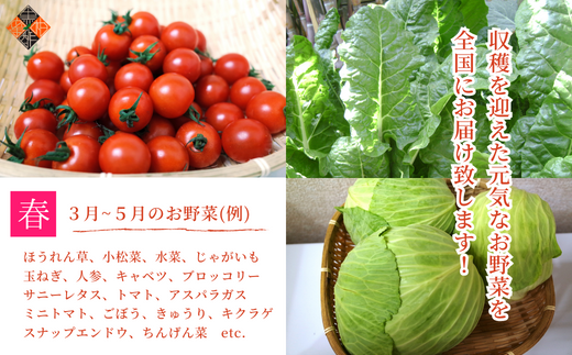 画像はイメージです。お届けする野菜の種類は季節に応じて変わります。