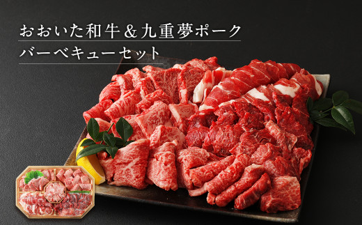 【6ヶ月定期便】 おおいた和牛 ・ 九重夢ポーク 食べ比べ 定期便 セット 牛肉 豚肉 大分県産