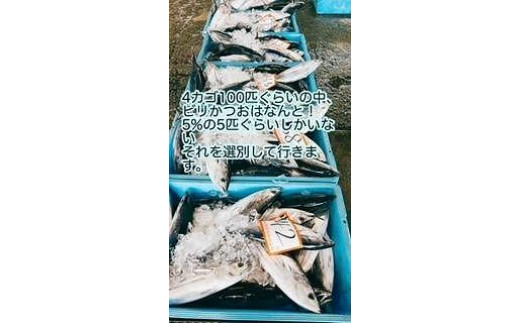 高知県南国市のふるさと納税 冷凍もちもち食感ビリかつお刺身250g【鰹 切身 新鮮 魚 魚介 食品  人気 おすすめ 高知県 南国市】