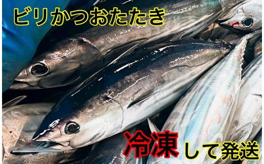 高知県南国市のふるさと納税 冷凍もちもち食感ビリかつお刺身250g【鰹 切身 新鮮 魚 魚介 食品  人気 おすすめ 高知県 南国市】